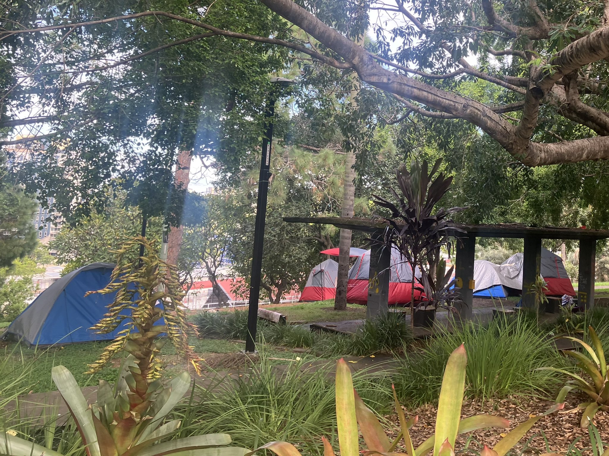 Brisbane tent city homelessness housing crisis immigration