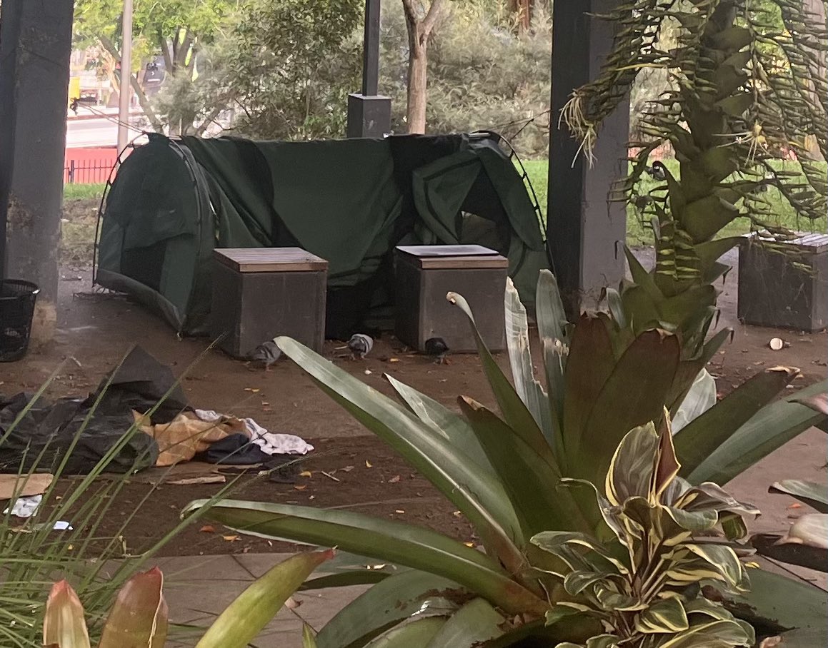 Brisbane tent city homelessness housing crisis immigration