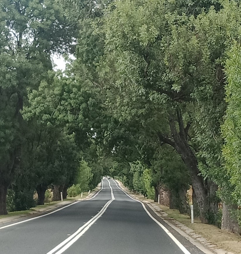 Oberon wind farm O'Connell Anzac memorial Avenue of Honour