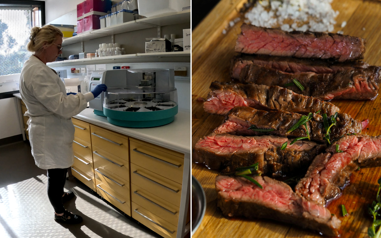 Aussie meat producer sounds alarm over cattle mRNA vaccine