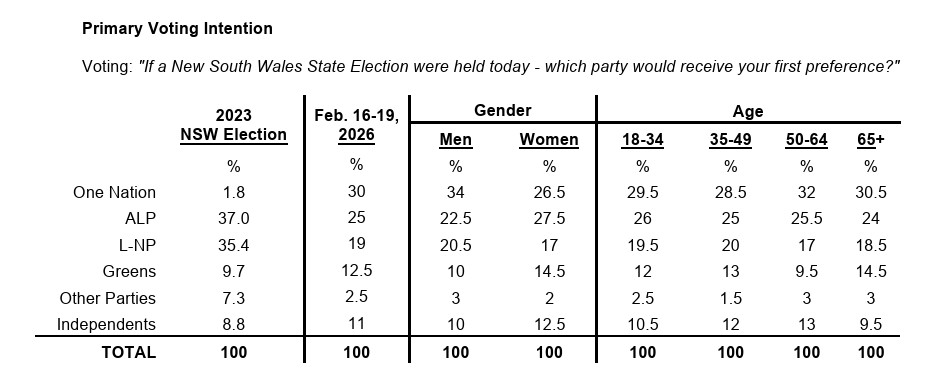 One Nation leading polls in NSW – winning 30% of young voters