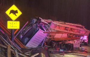 Nighttime scene of a collapsed white truck trailer and debris piled beside a road sign showing a boar crossing and 'Next 14 km'.