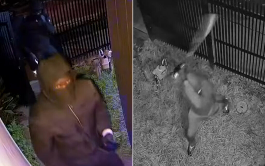 Hooded, masked figure in a hoodie stands near a fence at night, appearing to approach a yard or gate (security camera video).
