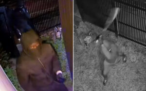 Hooded, masked figure in a hoodie stands near a fence at night, appearing to approach a yard or gate (security camera video).