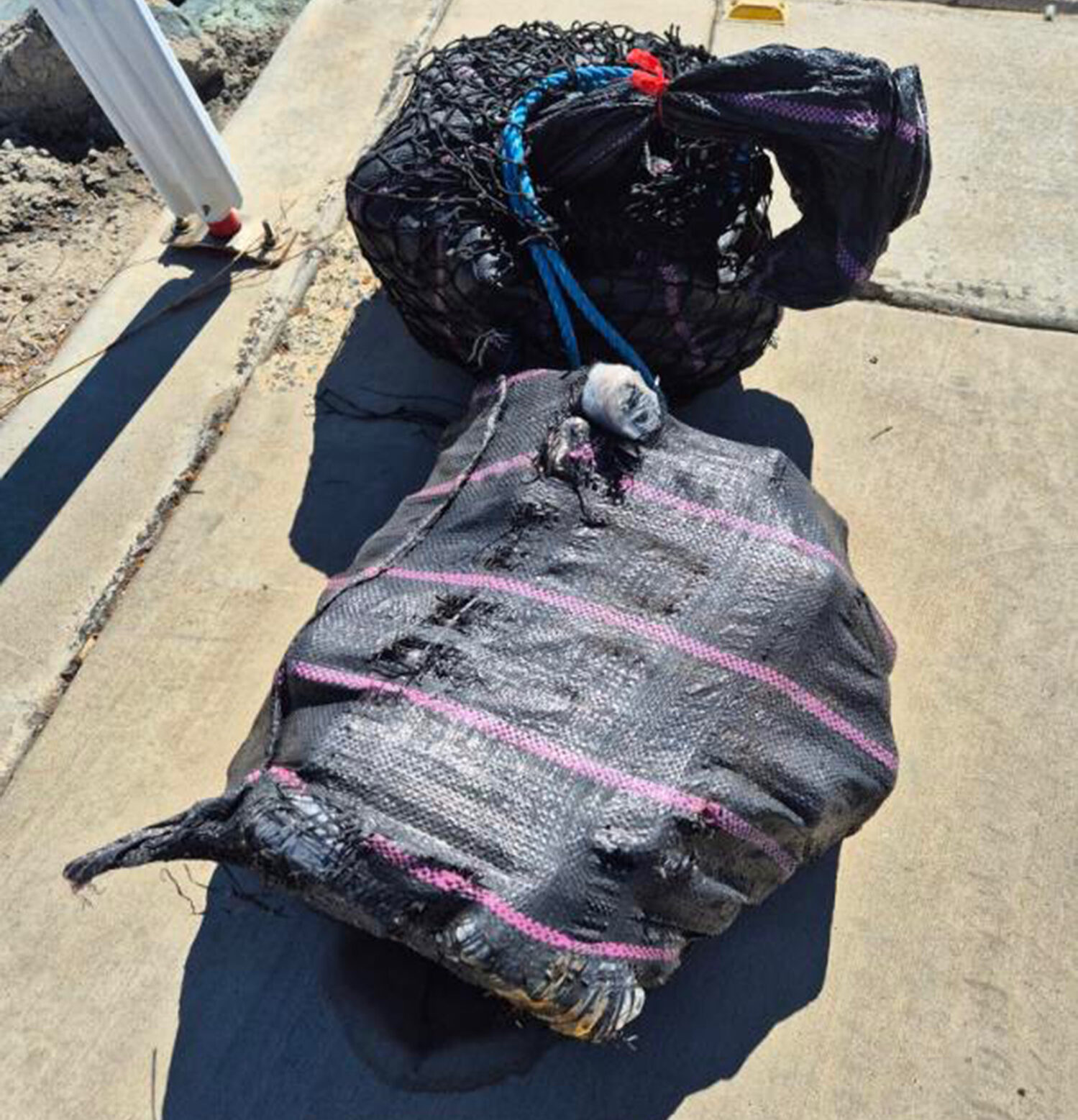 Islanders arrested in Australia's biggest-ever cocaine bust