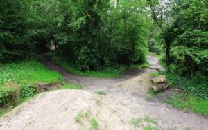 Dirt hiking trail splitting into two forks through a lush green forest.
