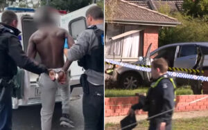 Person in handcuffs being led to a police van by two officers; shirtless detainee facing away from camera (informative).