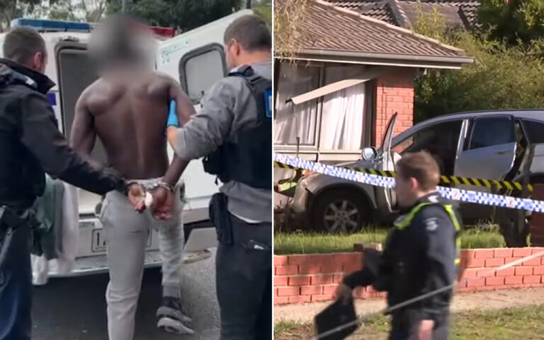 Person in handcuffs being led to a police van by two officers; shirtless detainee facing away from camera (informative).