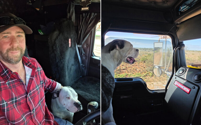 Man in a red plaid shirt sits in a Kenworth truck cab with a white bulldog beside him inside the cabin; desert scenery outside.
