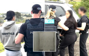 Two police officers restrain a man in a gray hoodie beside a white SUV; another officer meets a woman with a blurred face, near a different person in black.