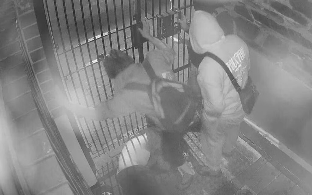 Two people in a stairwell near a metal kennel gate; a large dog is restrained against the bars, possibly during handling or containment.