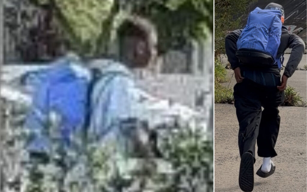 Person wearing a blue backpack outdoors, viewed from behind in a garden setting (left panel). Right panel shows a person walking away with a blue backpack.