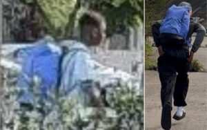 Person wearing a blue backpack outdoors, viewed from behind in a garden setting (left panel). Right panel shows a person walking away with a blue backpack.