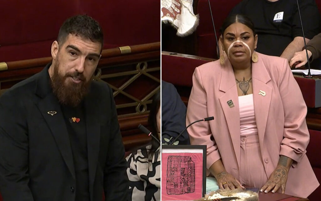 Split image of two people in a formal chamber: on the left, a bearded man in a black blazer speaks into a microphone; on the right, a woman in a pink suit sits at a desk with a framed pink artwork in front of her.