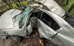 Silver sedan severely damaged in a roadside crash, with a shattered windshield and open front doors among trees and mud.