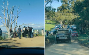 Left side shows a group of people at a cliff overlook with a bare/ghostly tree and blue sky; right side shows a tree-lined dirt road crowded with parked cars and moving traffic.